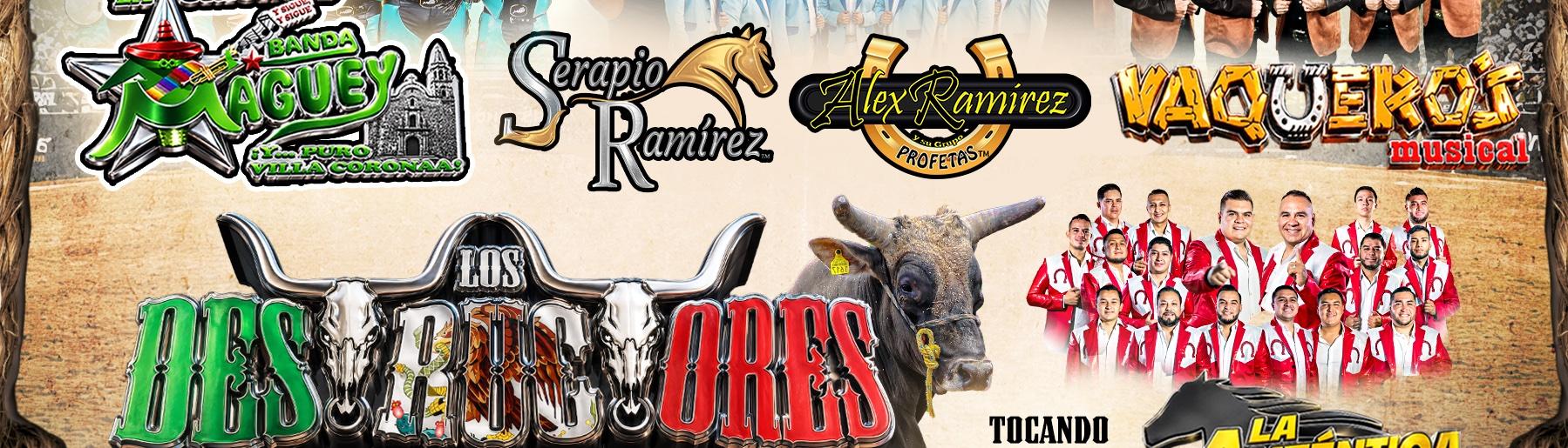 Bulls and Gangs