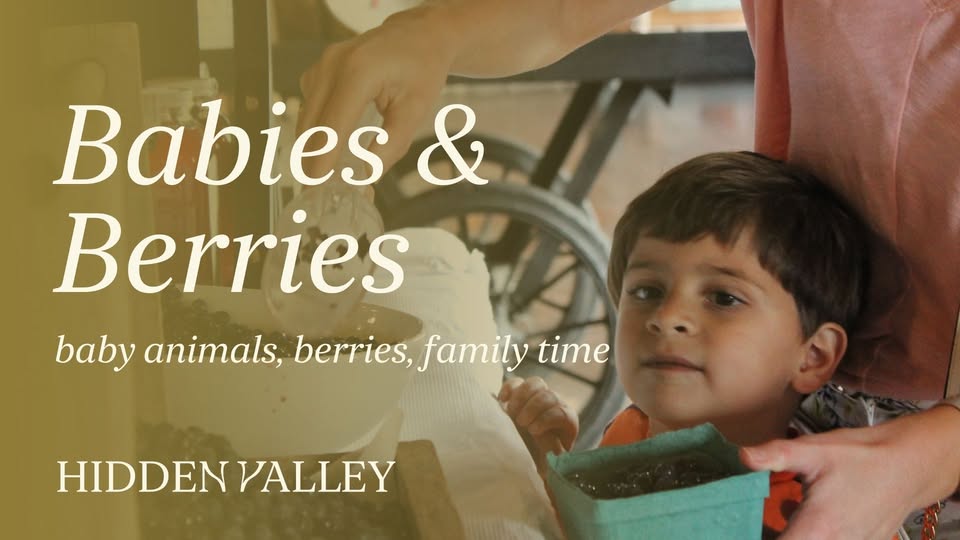 Babies & Berries